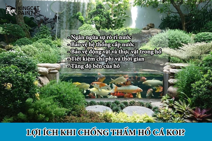 loi ich khi chong tham ho ca koi